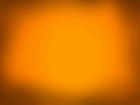 Banner Image 1